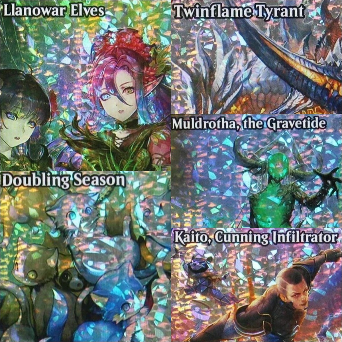 Board Game Quest - Fracture (FDN) [Llanowar Elves] TCG Magical